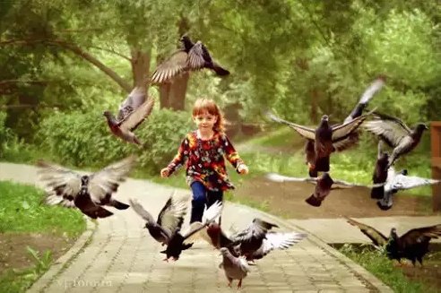 [Наталья Сведовая] Здоровый Ребенок_0.jpg